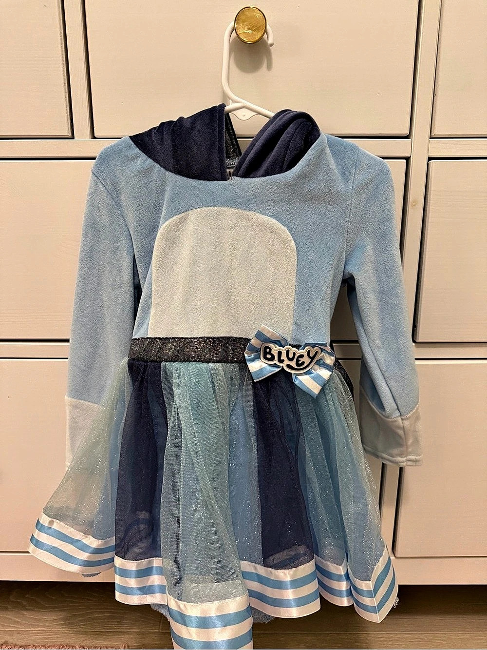Bluey Costume